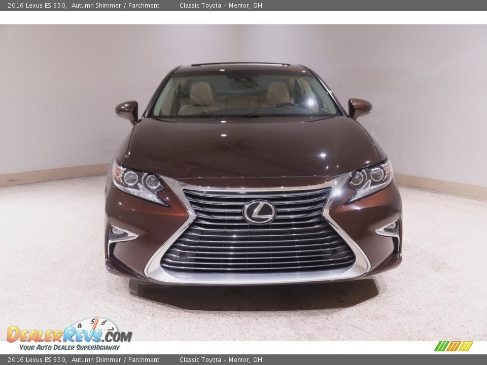 Autumn Shimmer 2016 Lexus ES 350 Photo #2