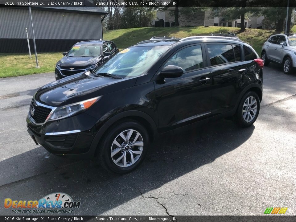 2016 Kia Sportage LX Black Cherry / Black Photo #2