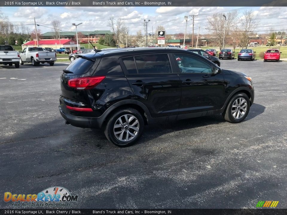 2016 Kia Sportage LX Black Cherry / Black Photo #6