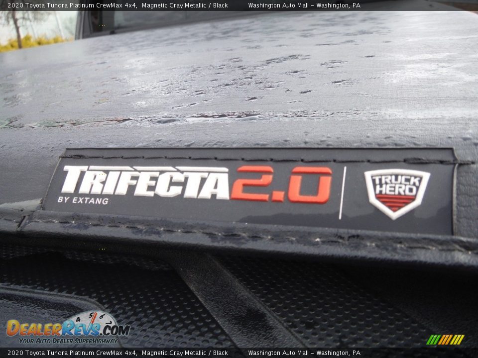 2020 Toyota Tundra Platinum CrewMax 4x4 Magnetic Gray Metallic / Black Photo #19