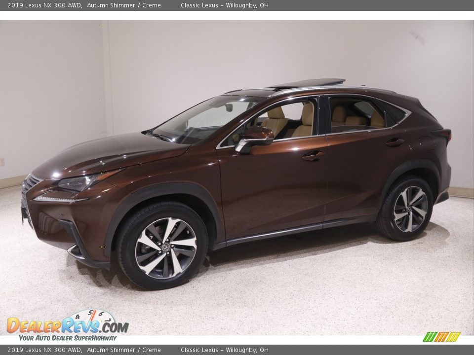 Autumn Shimmer 2019 Lexus NX 300 AWD Photo #3