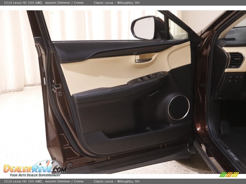 Door Panel of 2019 Lexus NX 300 AWD Photo #4