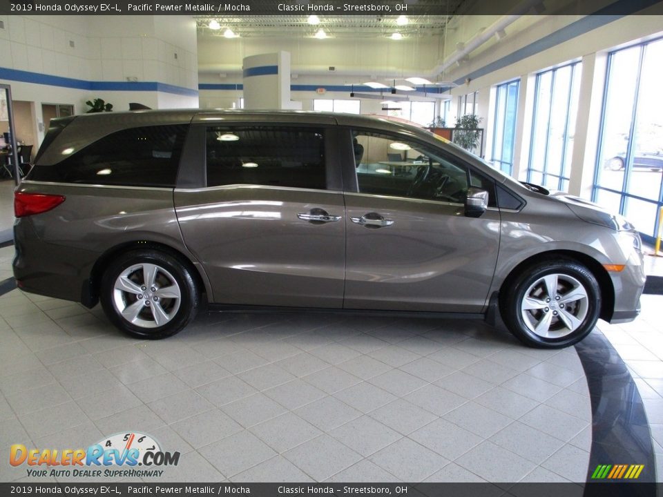 2019 Honda Odyssey EX-L Pacific Pewter Metallic / Mocha Photo #4