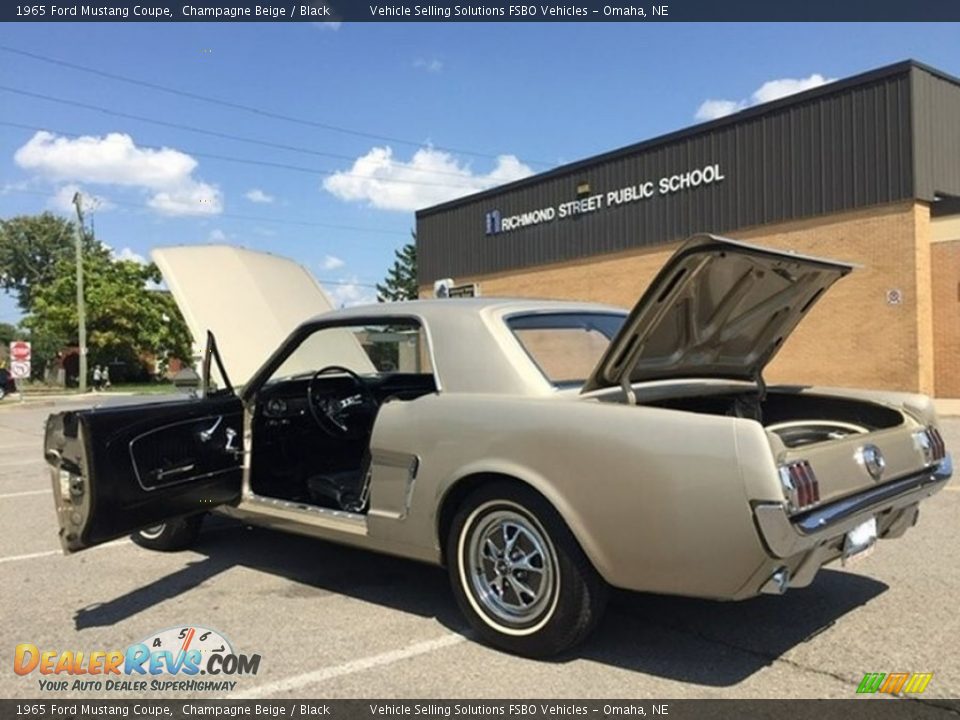 1965 Ford Mustang Coupe Champagne Beige / Black Photo #25