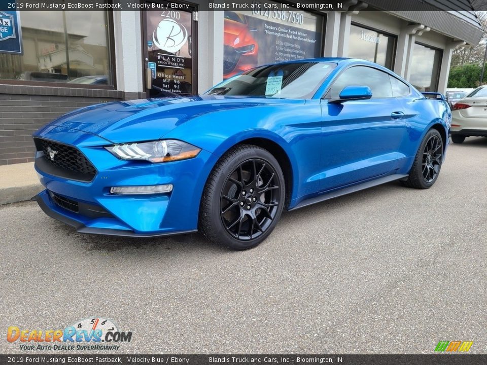 2019 Ford Mustang EcoBoost Fastback Velocity Blue / Ebony Photo #2