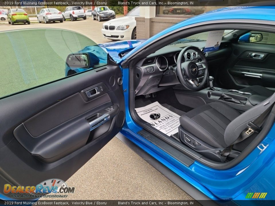 2019 Ford Mustang EcoBoost Fastback Velocity Blue / Ebony Photo #3