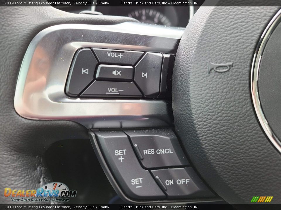 2019 Ford Mustang EcoBoost Fastback Velocity Blue / Ebony Photo #12