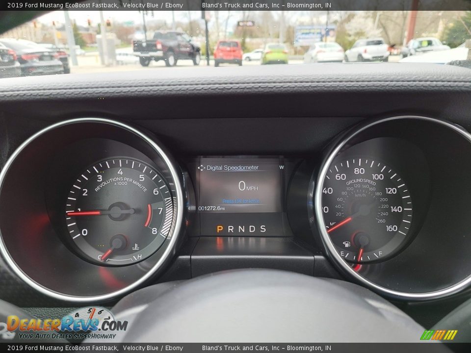 2019 Ford Mustang EcoBoost Fastback Velocity Blue / Ebony Photo #14