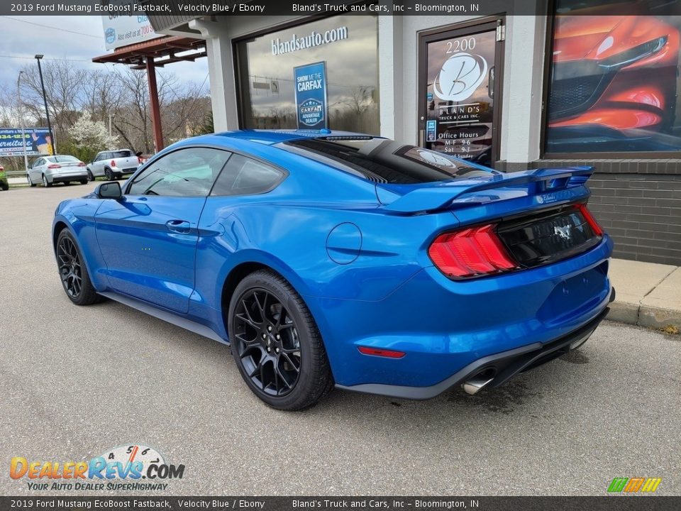 2019 Ford Mustang EcoBoost Fastback Velocity Blue / Ebony Photo #29