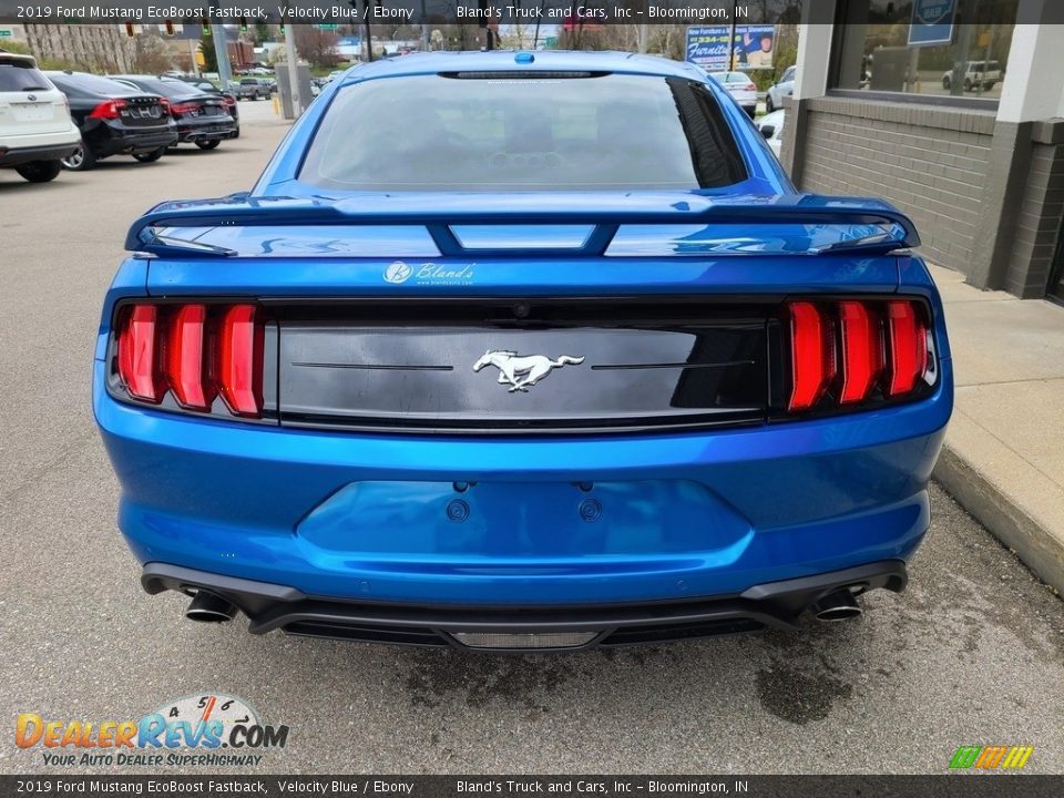 2019 Ford Mustang EcoBoost Fastback Velocity Blue / Ebony Photo #30