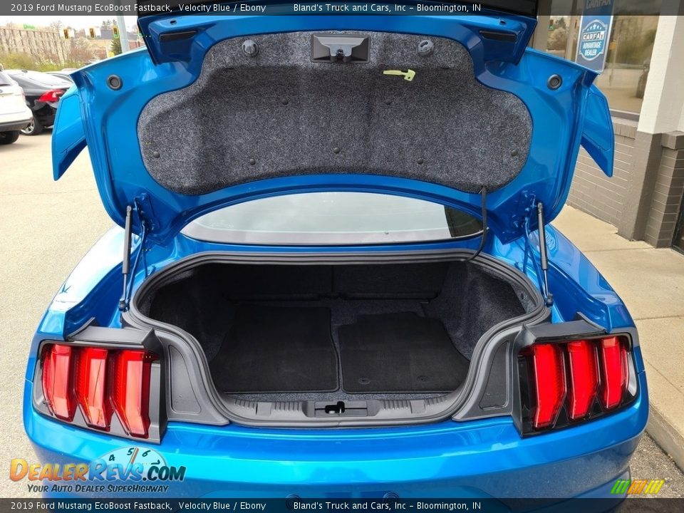 2019 Ford Mustang EcoBoost Fastback Velocity Blue / Ebony Photo #31