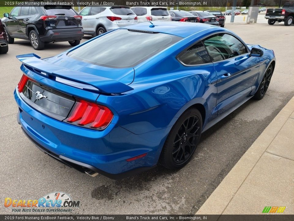2019 Ford Mustang EcoBoost Fastback Velocity Blue / Ebony Photo #33
