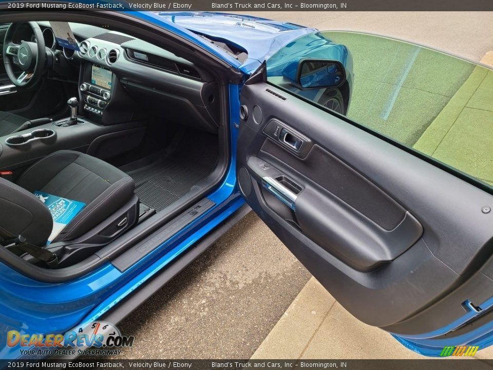 2019 Ford Mustang EcoBoost Fastback Velocity Blue / Ebony Photo #34