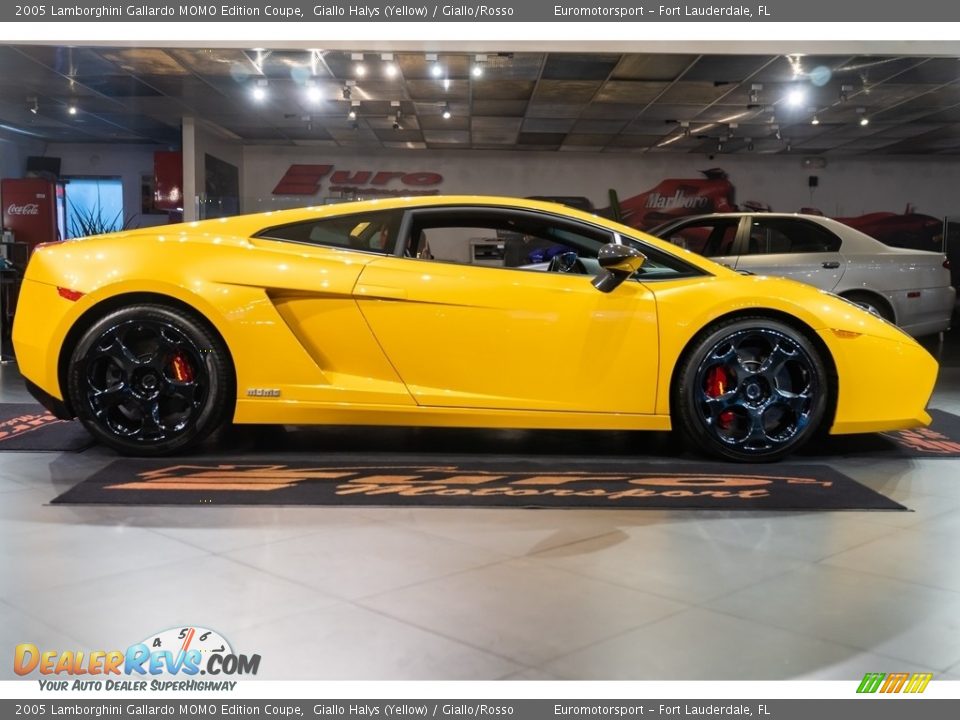 Giallo Halys (Yellow) 2005 Lamborghini Gallardo MOMO Edition Coupe Photo #4