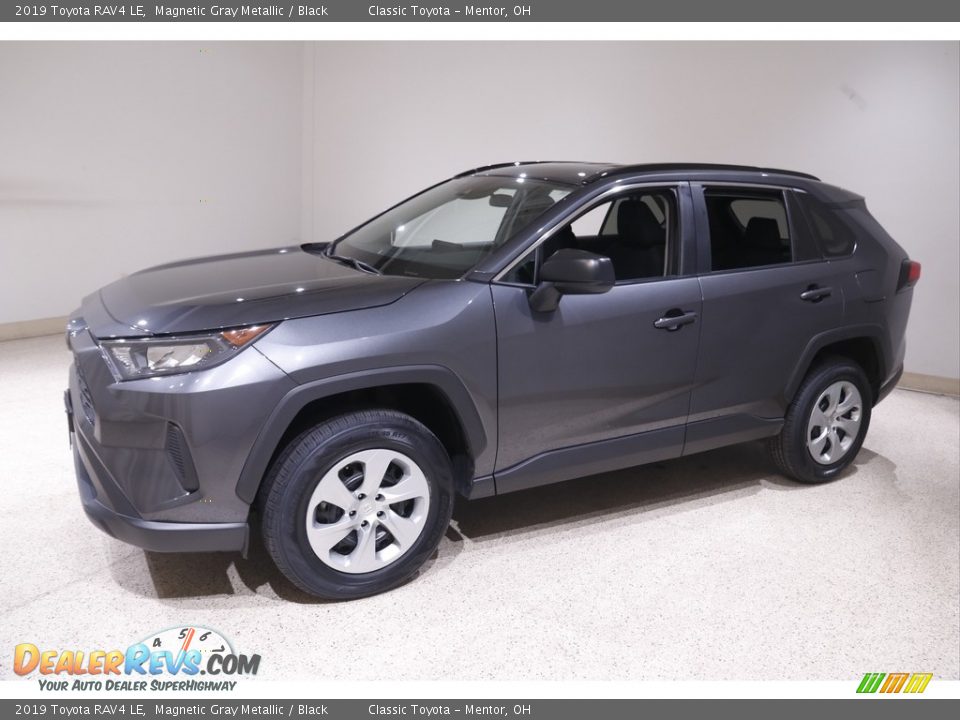2019 Toyota RAV4 LE Magnetic Gray Metallic / Black Photo #3