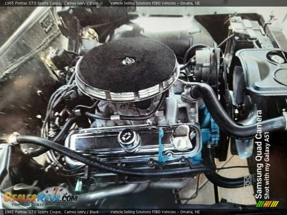 1965 Pontiac GTO Sports Coupe Cameo Ivory / Black Photo #5