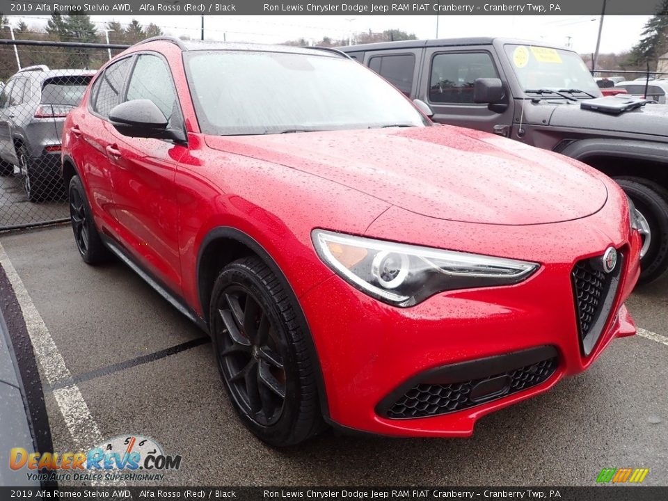 2019 Alfa Romeo Stelvio AWD Alfa Rosso (Red) / Black Photo #3