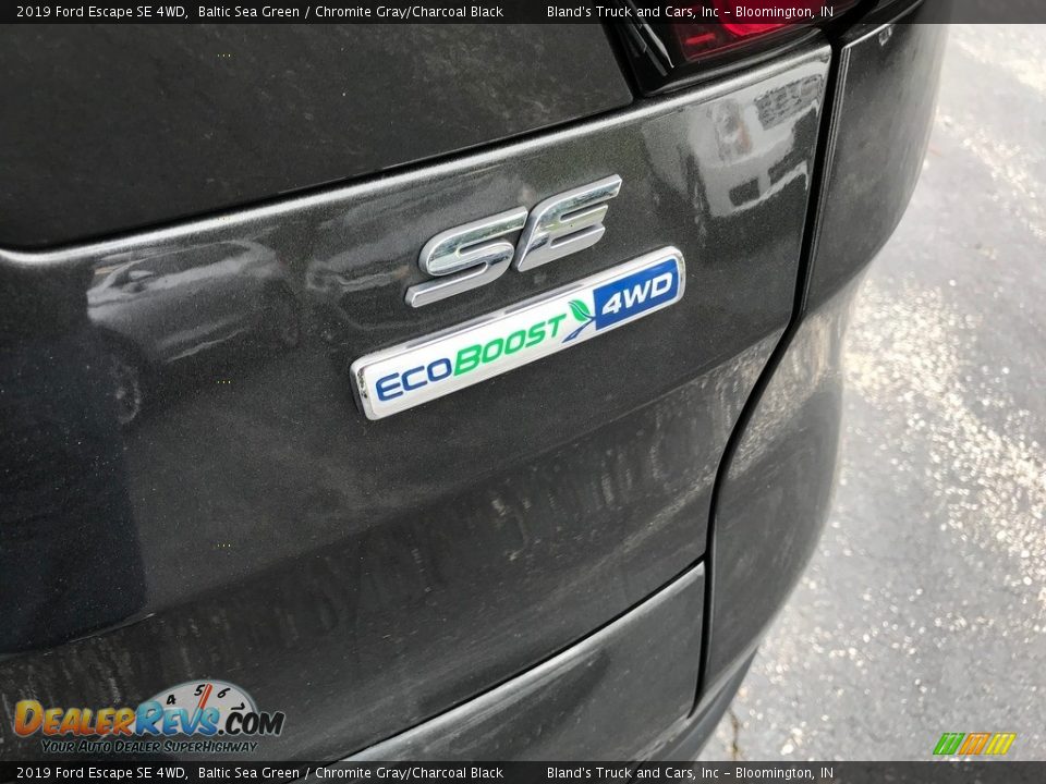 2019 Ford Escape SE 4WD Baltic Sea Green / Chromite Gray/Charcoal Black Photo #7