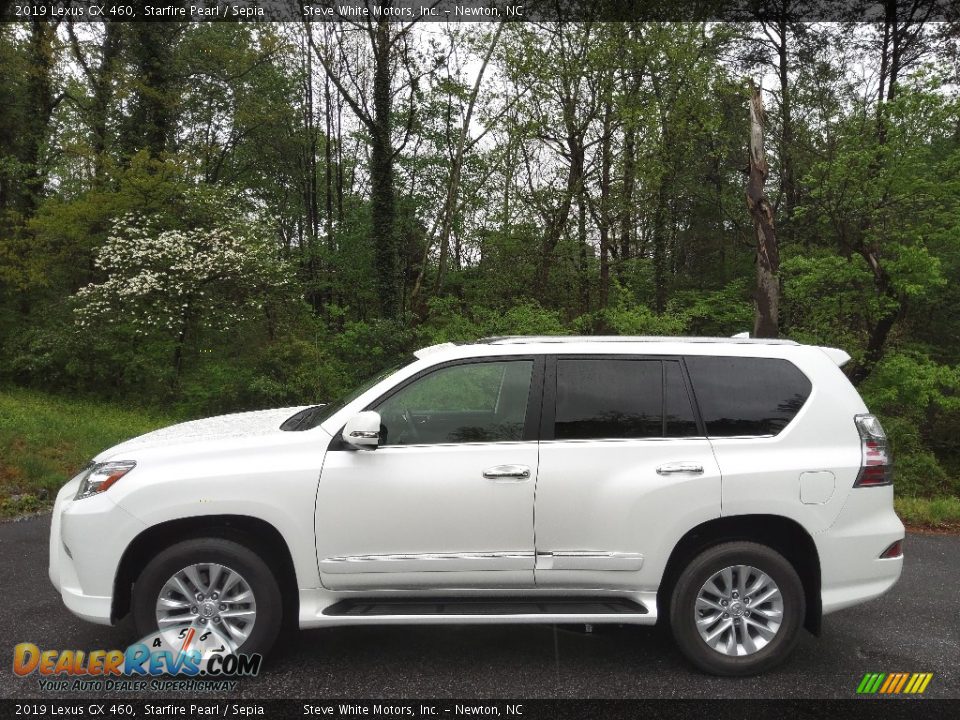 2019 Lexus GX 460 Starfire Pearl / Sepia Photo #1