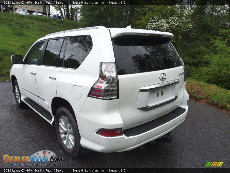 2019 Lexus GX 460 Starfire Pearl / Sepia Photo #5