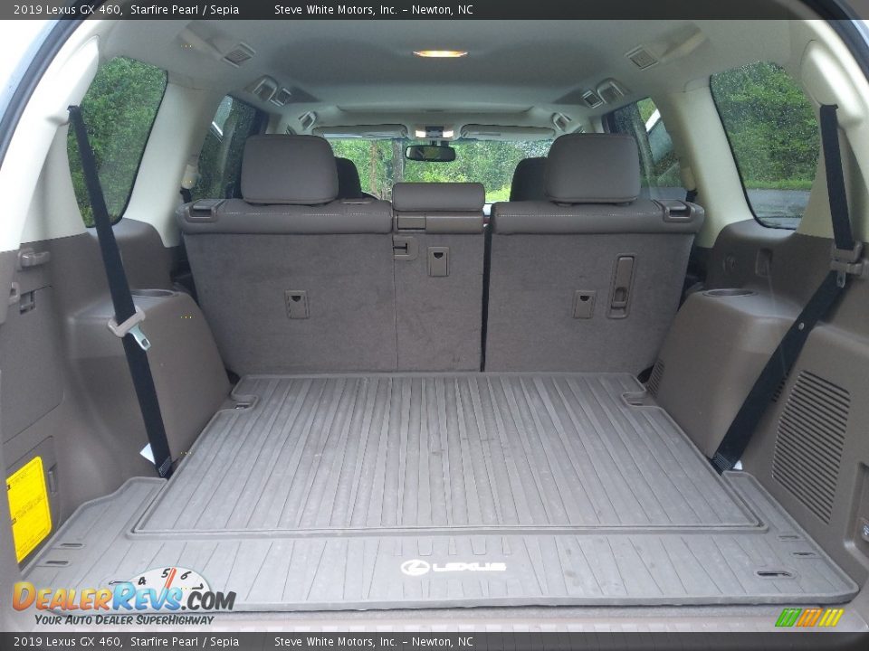 2019 Lexus GX 460 Trunk Photo #14