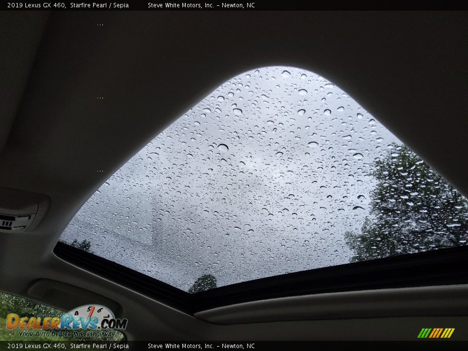 Sunroof of 2019 Lexus GX 460 Photo #32