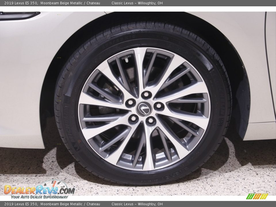 2019 Lexus ES 350 Moonbeam Beige Metallic / Chateau Photo #20