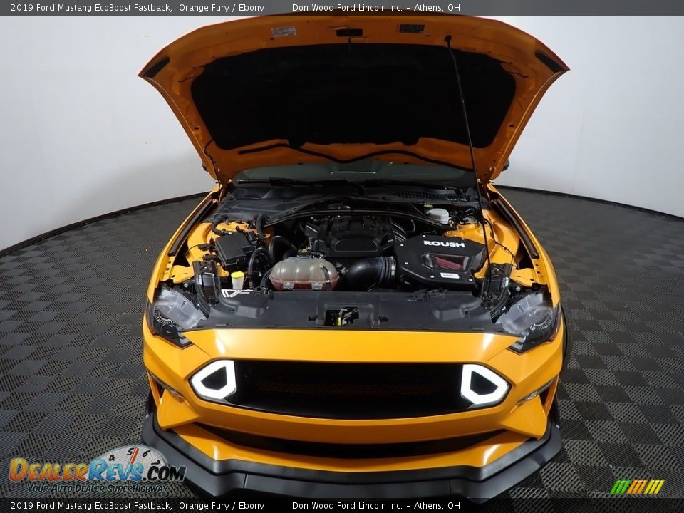 2019 Ford Mustang EcoBoost Fastback Orange Fury / Ebony Photo #6