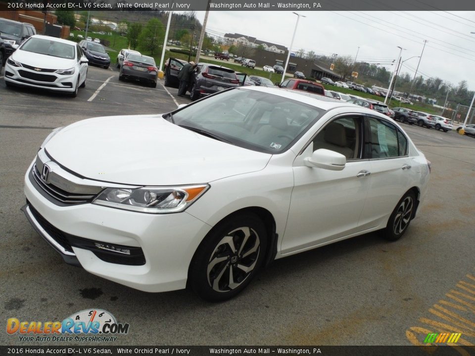 2016 Honda Accord EX-L V6 Sedan White Orchid Pearl / Ivory Photo #6