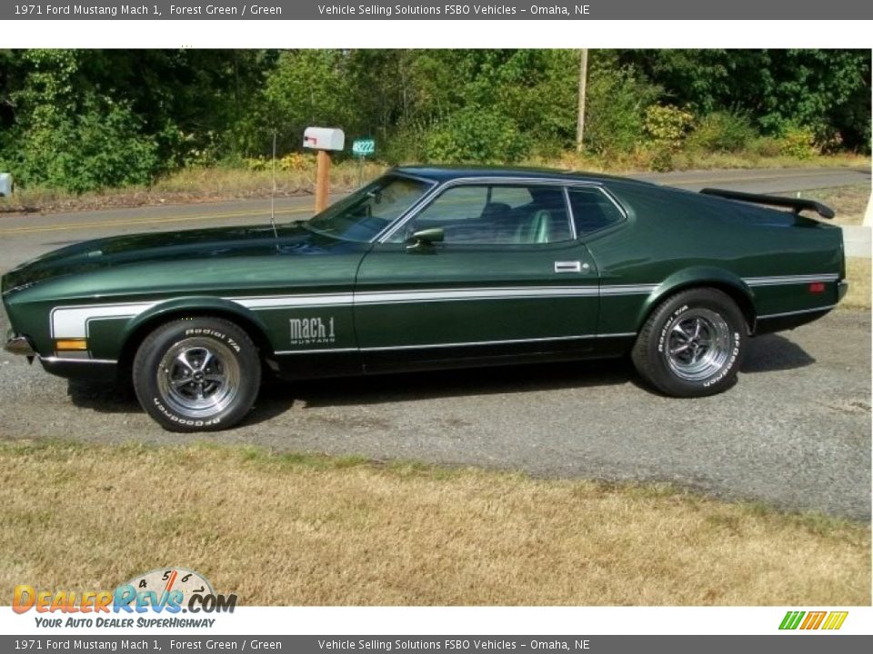 Forest Green 1971 Ford Mustang Mach 1 Photo #1