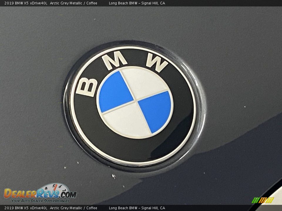 2019 BMW X5 xDrive40i Arctic Grey Metallic / Coffee Photo #7