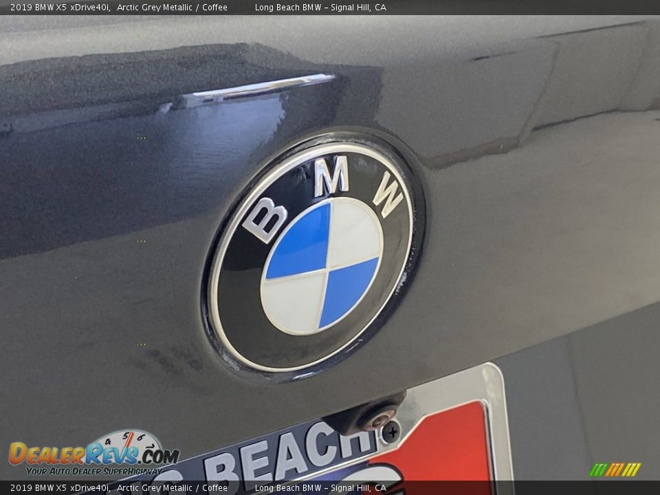 2019 BMW X5 xDrive40i Arctic Grey Metallic / Coffee Photo #9