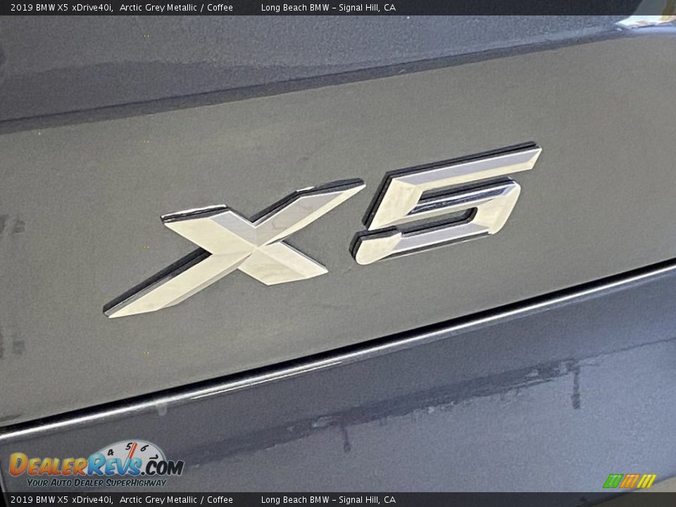 2019 BMW X5 xDrive40i Arctic Grey Metallic / Coffee Photo #10