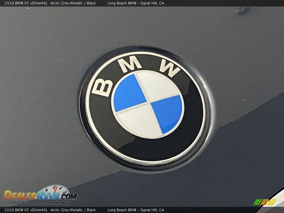 2019 BMW X5 xDrive40i Arctic Grey Metallic / Black Photo #7
