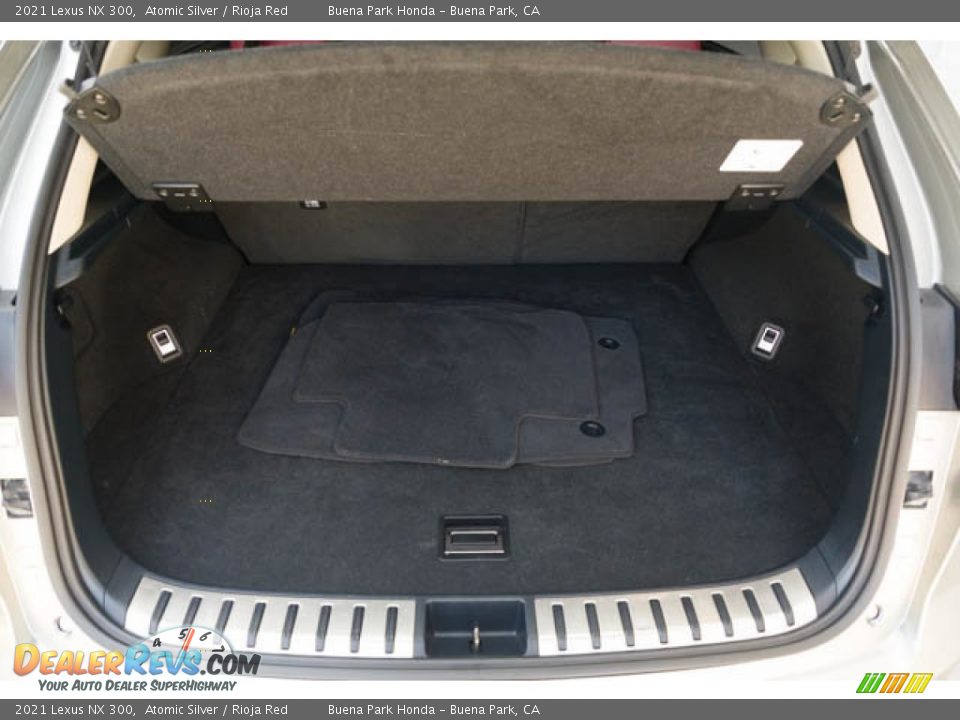 2021 Lexus NX 300 Trunk Photo #19