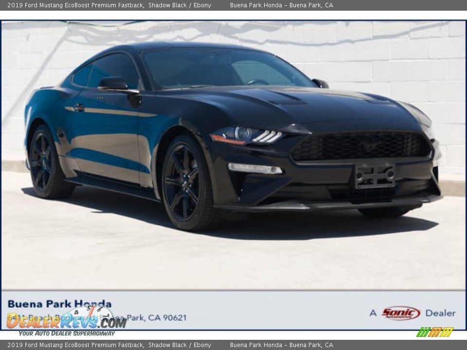 2019 Ford Mustang EcoBoost Premium Fastback Shadow Black / Ebony Photo #1