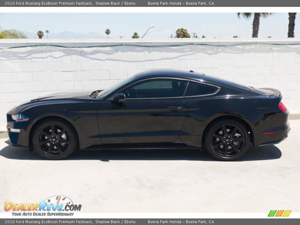 2019 Ford Mustang EcoBoost Premium Fastback Shadow Black / Ebony Photo #8