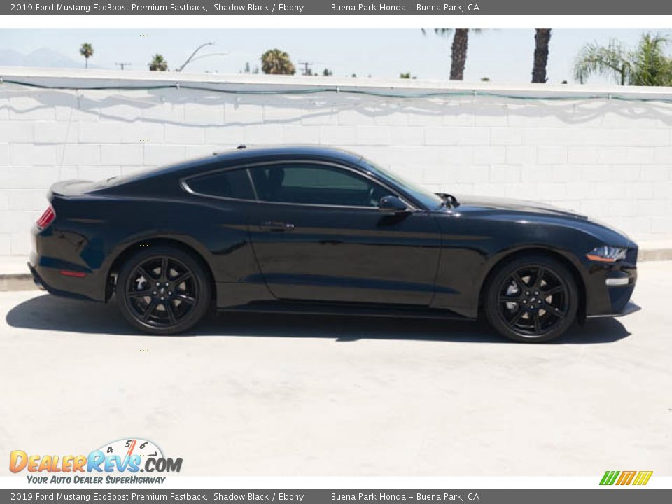 2019 Ford Mustang EcoBoost Premium Fastback Shadow Black / Ebony Photo #12