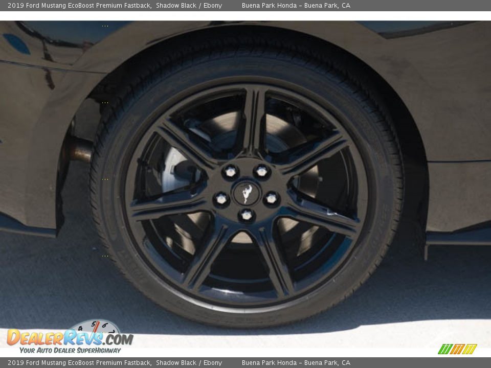 2019 Ford Mustang EcoBoost Premium Fastback Shadow Black / Ebony Photo #29