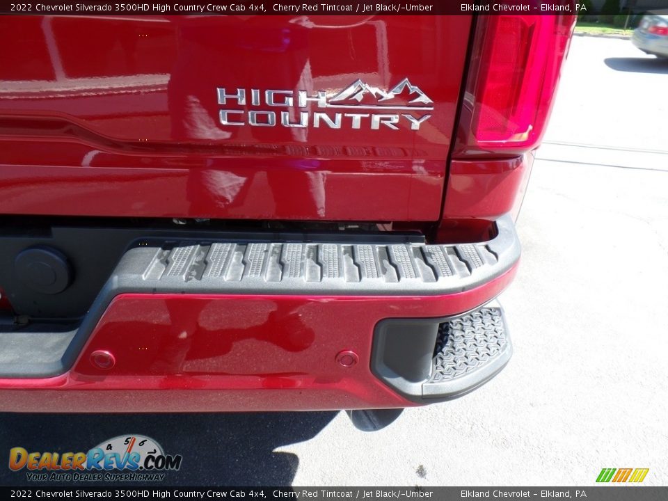 2022 Chevrolet Silverado 3500HD High Country Crew Cab 4x4 Logo Photo #15