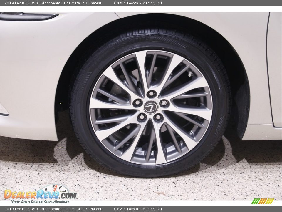 2019 Lexus ES 350 Moonbeam Beige Metallic / Chateau Photo #22