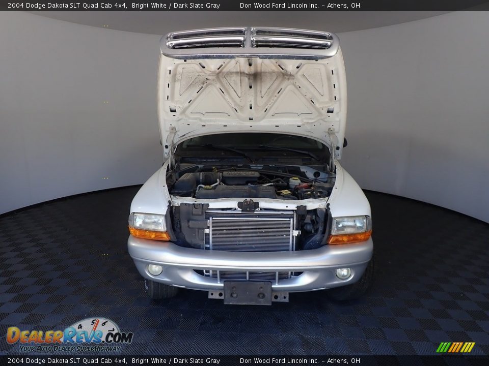 2004 Dodge Dakota SLT Quad Cab 4x4 Bright White / Dark Slate Gray Photo #5