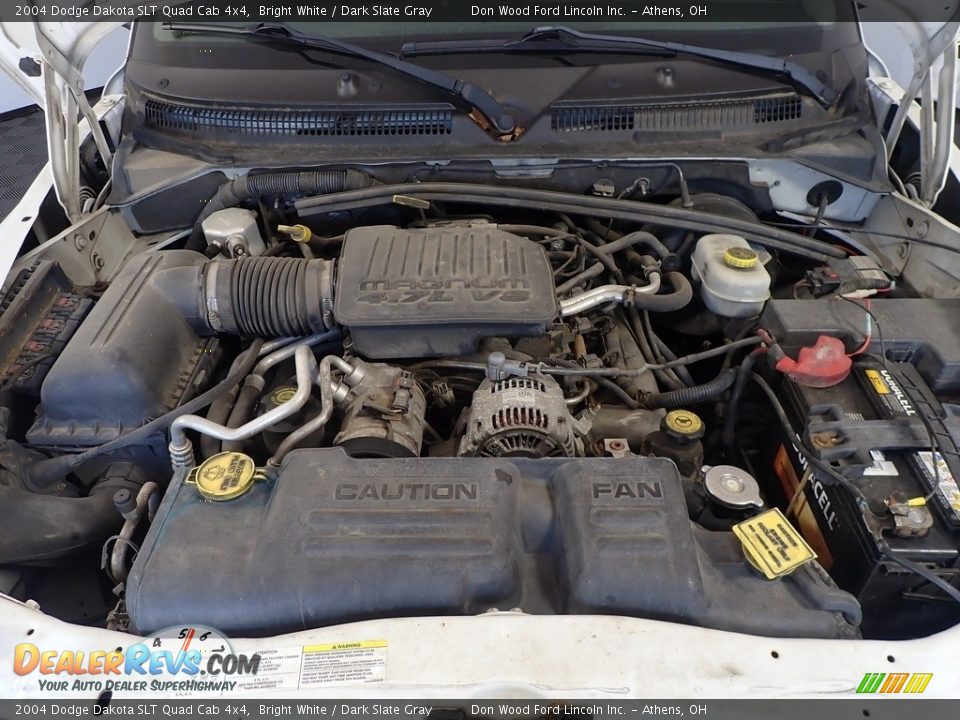 2004 Dodge Dakota SLT Quad Cab 4x4 Bright White / Dark Slate Gray Photo #6