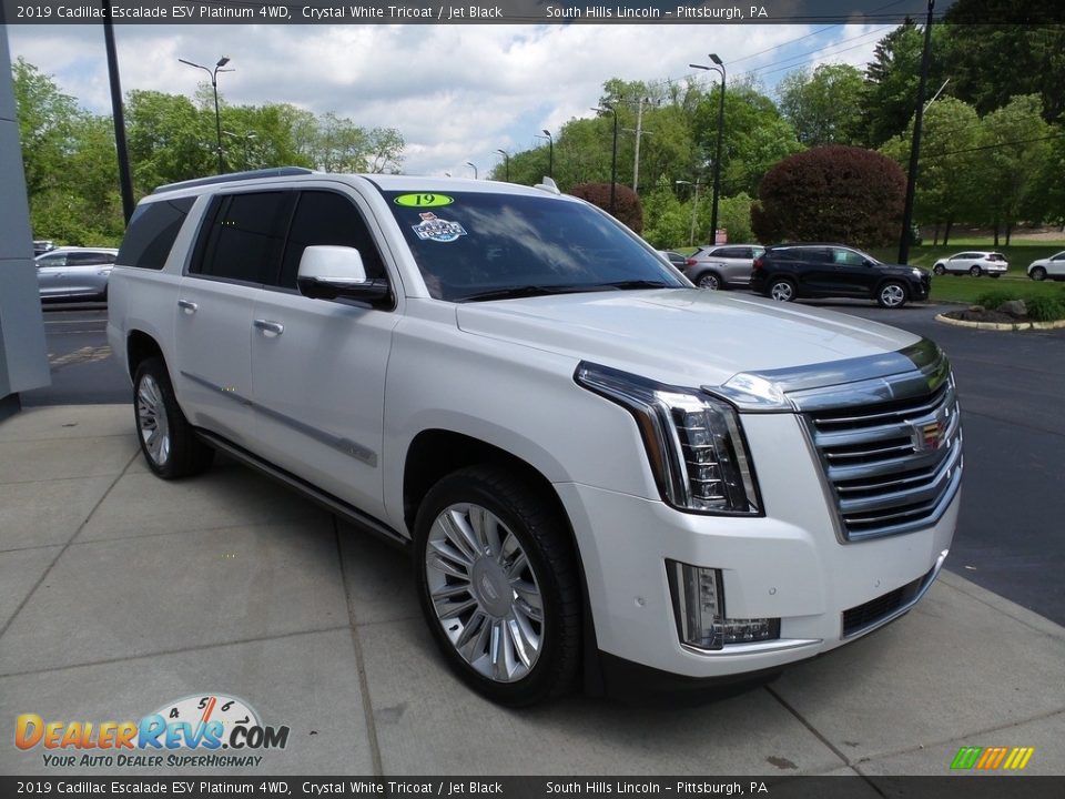 Front 3/4 View of 2019 Cadillac Escalade ESV Platinum 4WD Photo #8