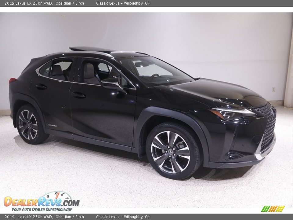 2019 Lexus UX 250h AWD Obsidian / Birch Photo #1