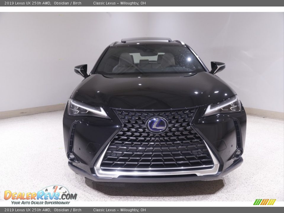 2019 Lexus UX 250h AWD Obsidian / Birch Photo #2