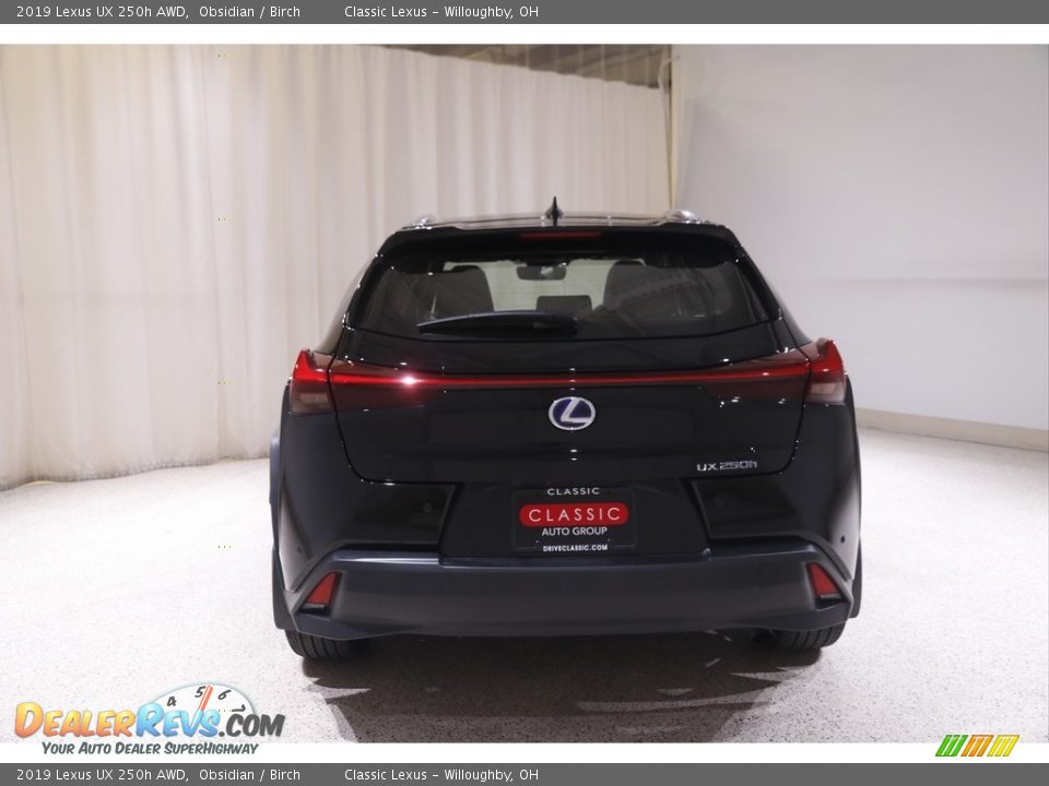 2019 Lexus UX 250h AWD Obsidian / Birch Photo #20