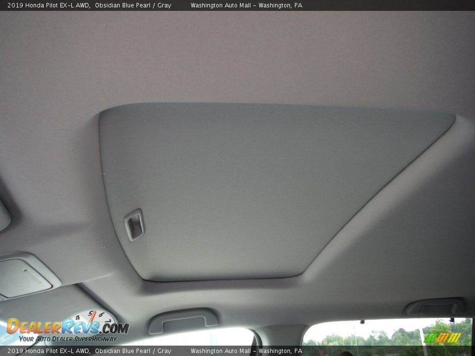 2019 Honda Pilot EX-L AWD Obsidian Blue Pearl / Gray Photo #10