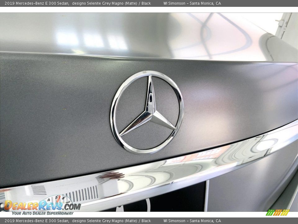 2019 Mercedes-Benz E 300 Sedan designo Selenite Grey Magno (Matte) / Black Photo #7