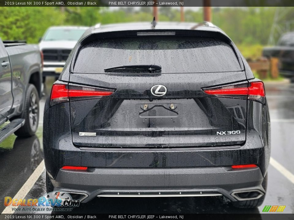 2019 Lexus NX 300 F Sport AWD Obsidian / Black Photo #4